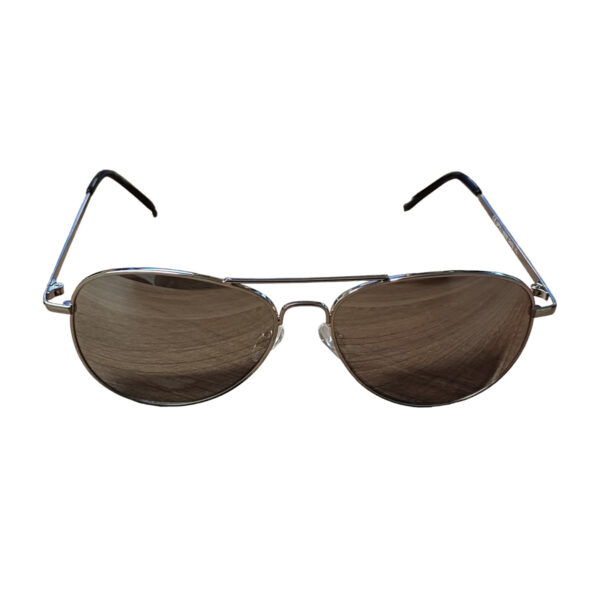 Men's Essentials Silver Sunglasses ()