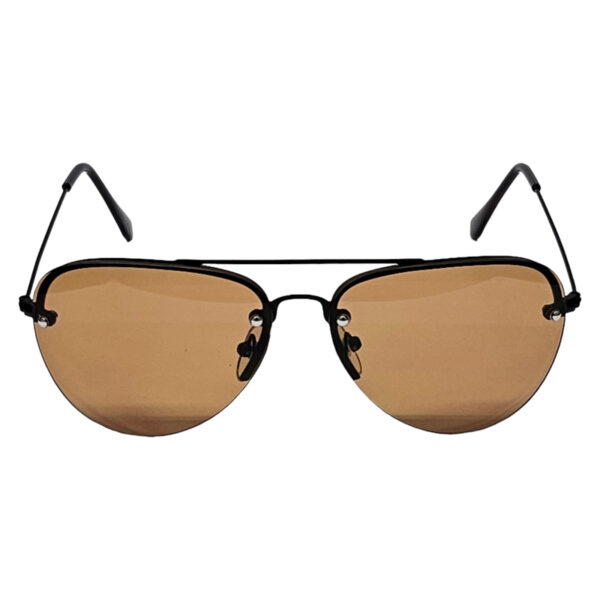 Smoked Lenses Sunglasses Vintage Retro (M3)